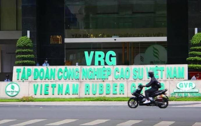 Tập đoàn Cao su (GVR) lãi kỷ lục 6.500 tỷ đồng năm 2025, cổ phiếu tăng dựng đứng