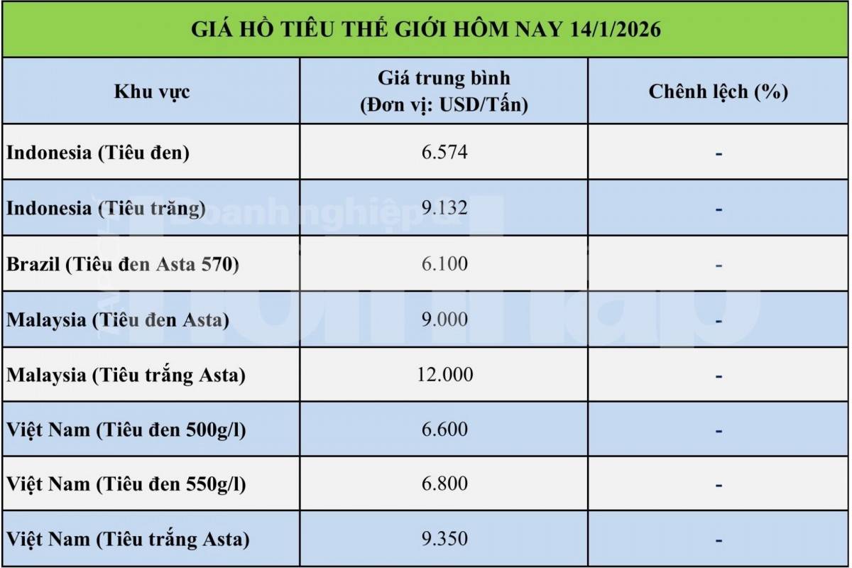Giá tiêu hôm nay 14/1/2026: