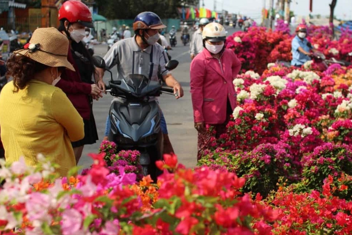 Quảng Trị: Tổ chức Tết Nguyên đán Bính Ngọ 2026 vui tươi, lành mạnh, an toàn, tiết kiệm