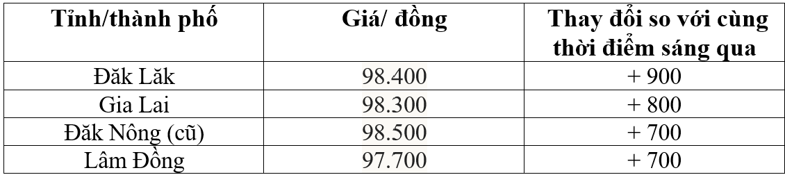 Bảng giá cà phê trong nước hôm nay 15/1/2026