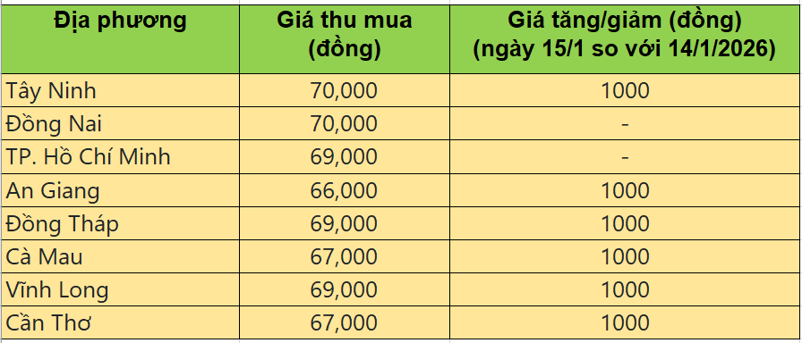 Bảng giá heo hơi tại miền Nam hôm nay 15/1/2026