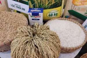 Lộc Trời tiếp tục cải tổ thượng tầng: Ông Trần Khánh Dư giữ ghế Tổng Giám đốc