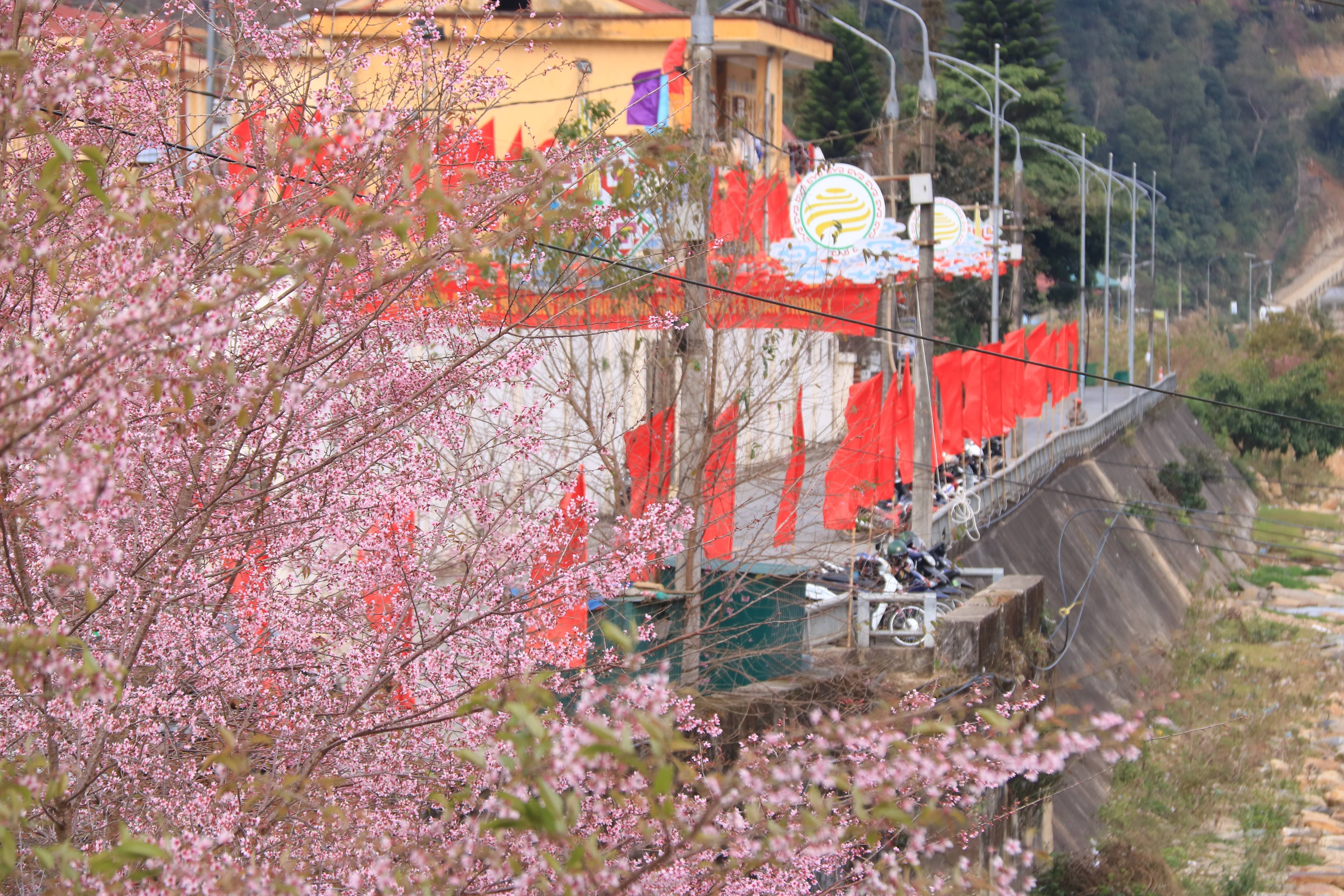 Mù Cang Chải rực rỡ cờ hoa, gửi trọn niềm tin hướng về Đại hội XIV của Đảng