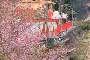 Mù Cang Chải rực rỡ cờ hoa, gửi trọn niềm tin hướng về Đại hội XIV của Đảng