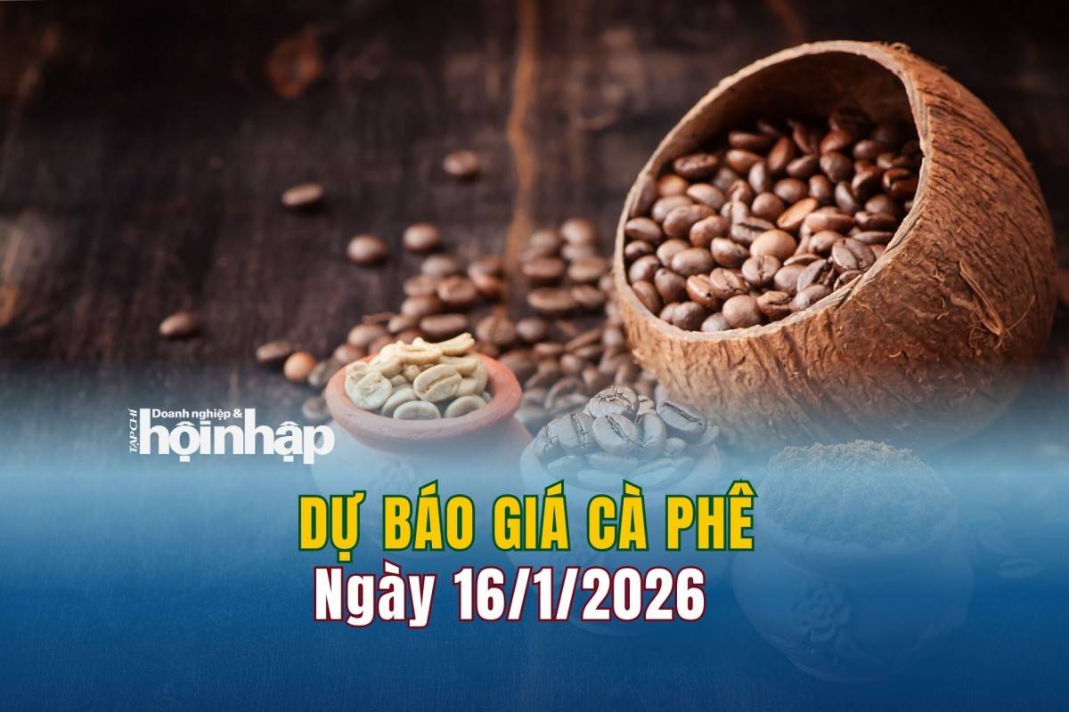 Dự báo giá cà phê 15/1: Cà phê trong nước đảo chiều bật tăng