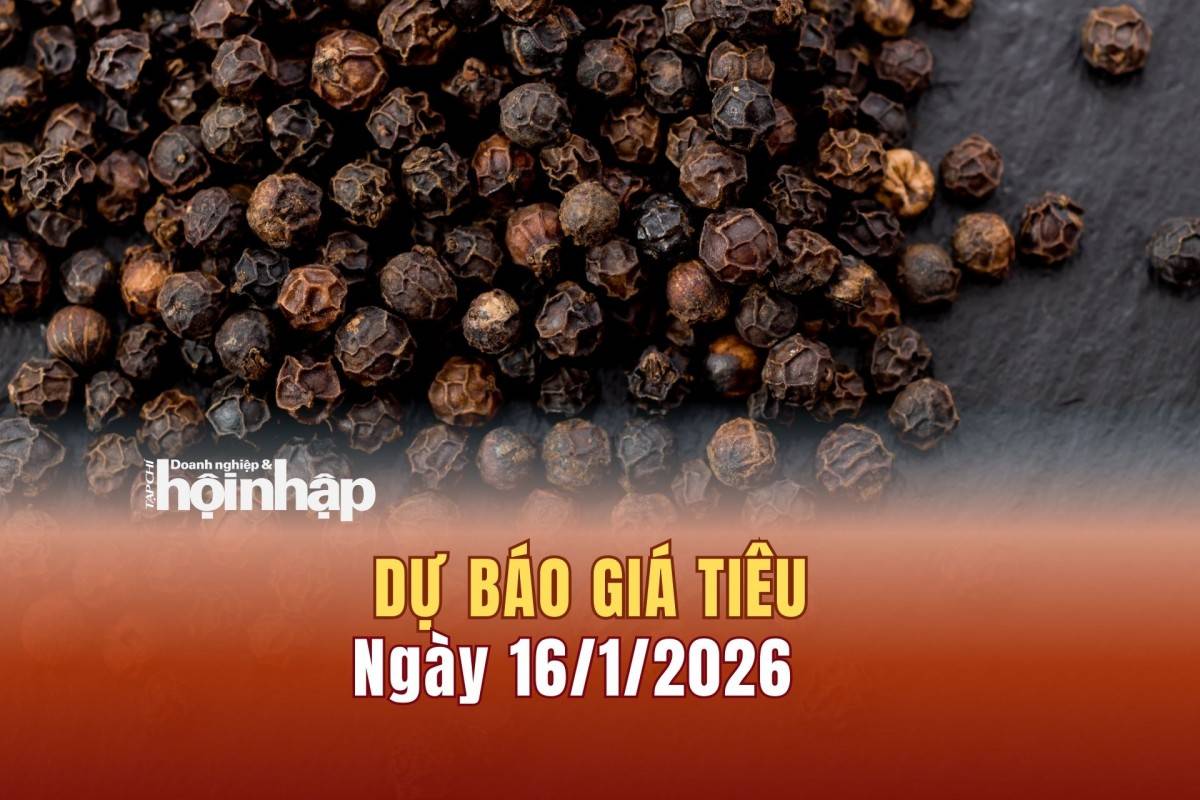 Dự báo giá tiêu 15/1: Giá tiêu trong nước và thế giới có xu hướng tăng