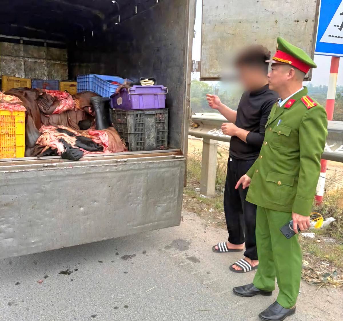 Phú Thọ: Phát hiện xe tải chở 1,2 tấn sản phẩm động vật không kiểm dịch