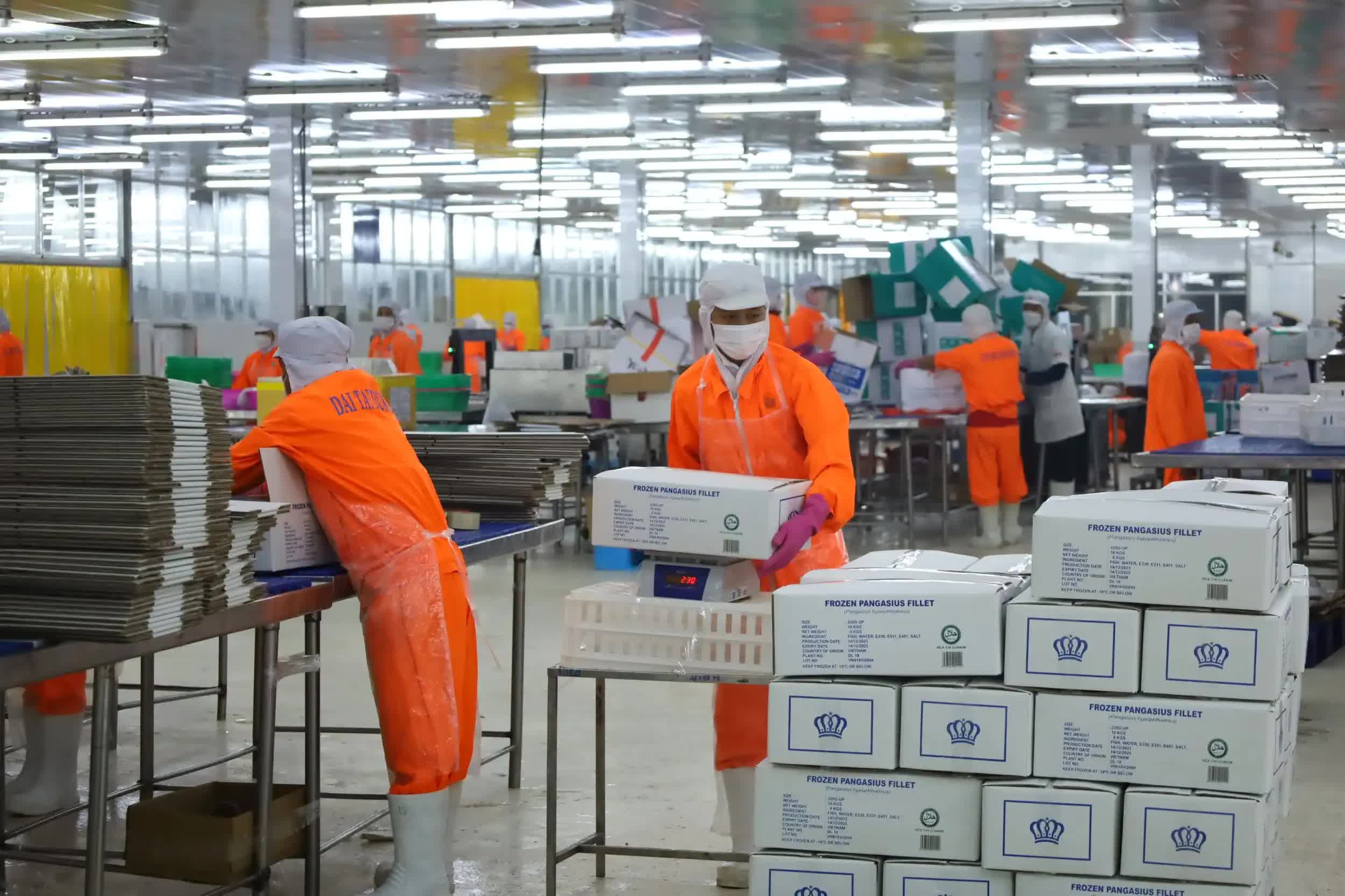 Top 10 doanh nghiệp xuất khẩu thủy sản lớn nhất năm 2025: Bức tranh dẫn dắt của các “ông lớn”