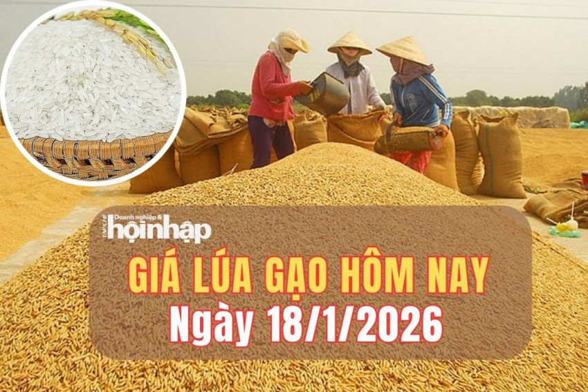 giá lúa gạo