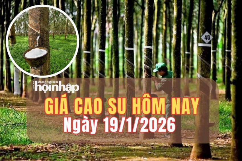 giá cao su