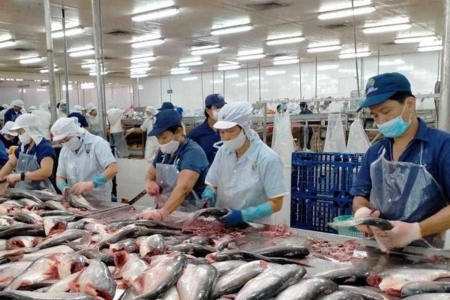 Gỡ điểm nghẽn, thủy sản Việt Nam tăng tốc trong giai đoạn mới