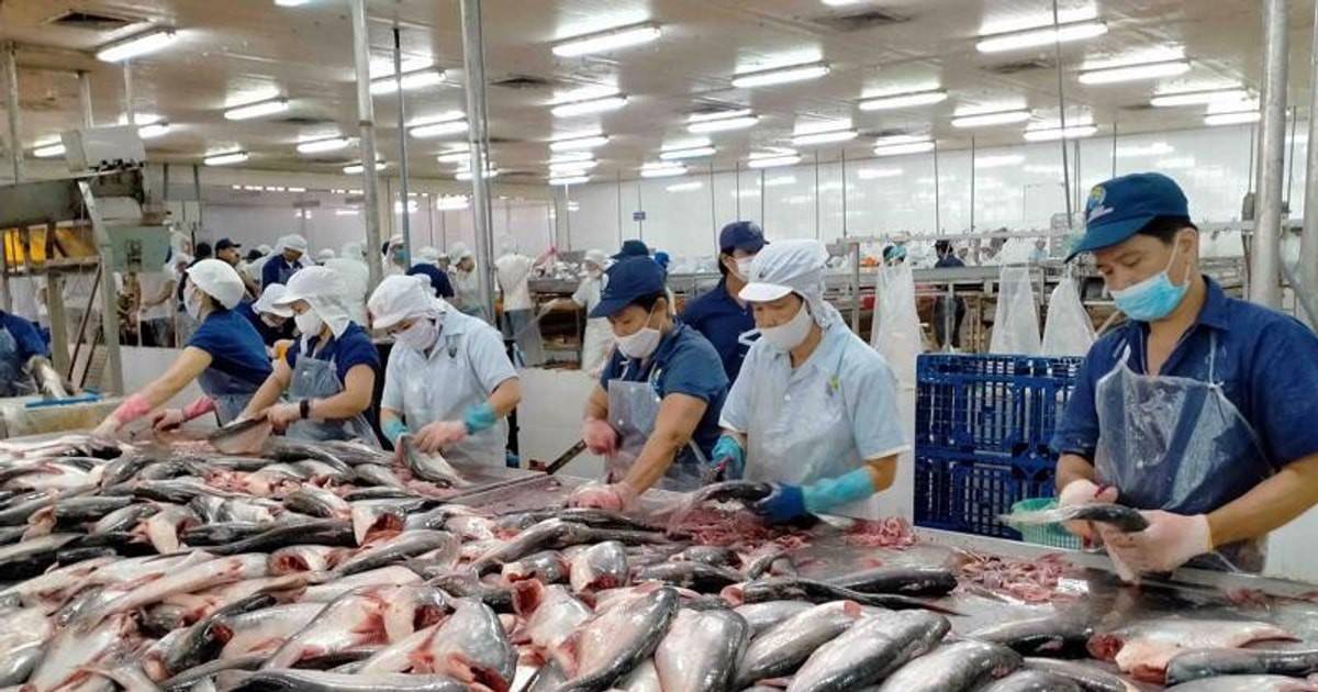 Gỡ điểm nghẽn, thủy sản Việt Nam tăng tốc trong giai đoạn mới