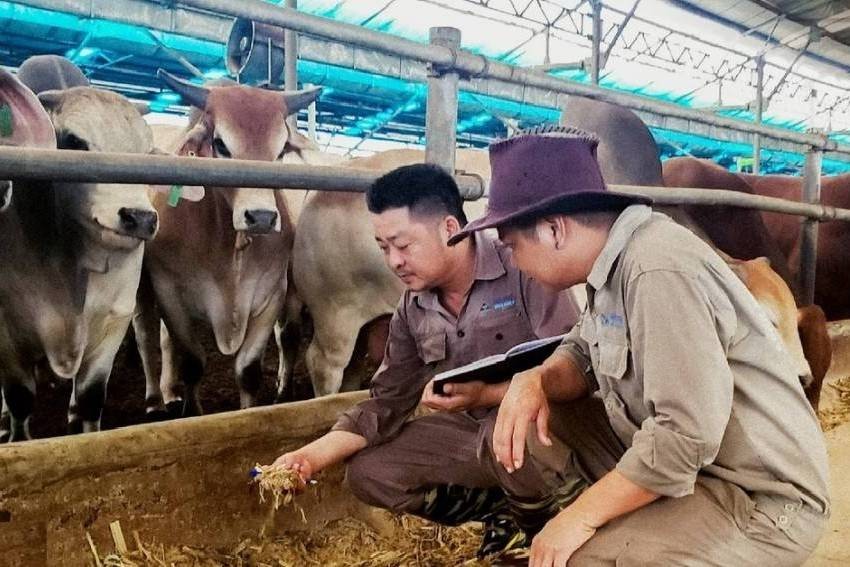 Hòa Phát bán bớt cổ phần nông nghiệp trước thềm niêm yết HoSE