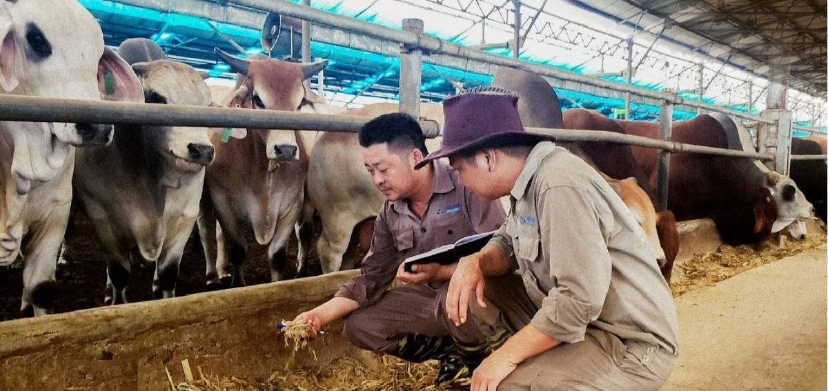 Hòa Phát bán bớt cổ phần nông nghiệp trước thềm niêm yết HoSE