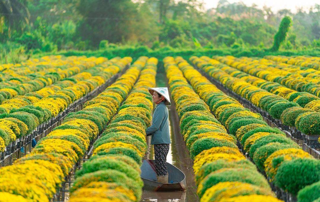 Những làng hoa đẹp nhất Việt Nam rực rỡ sắc xuân những ngày giáp Tết