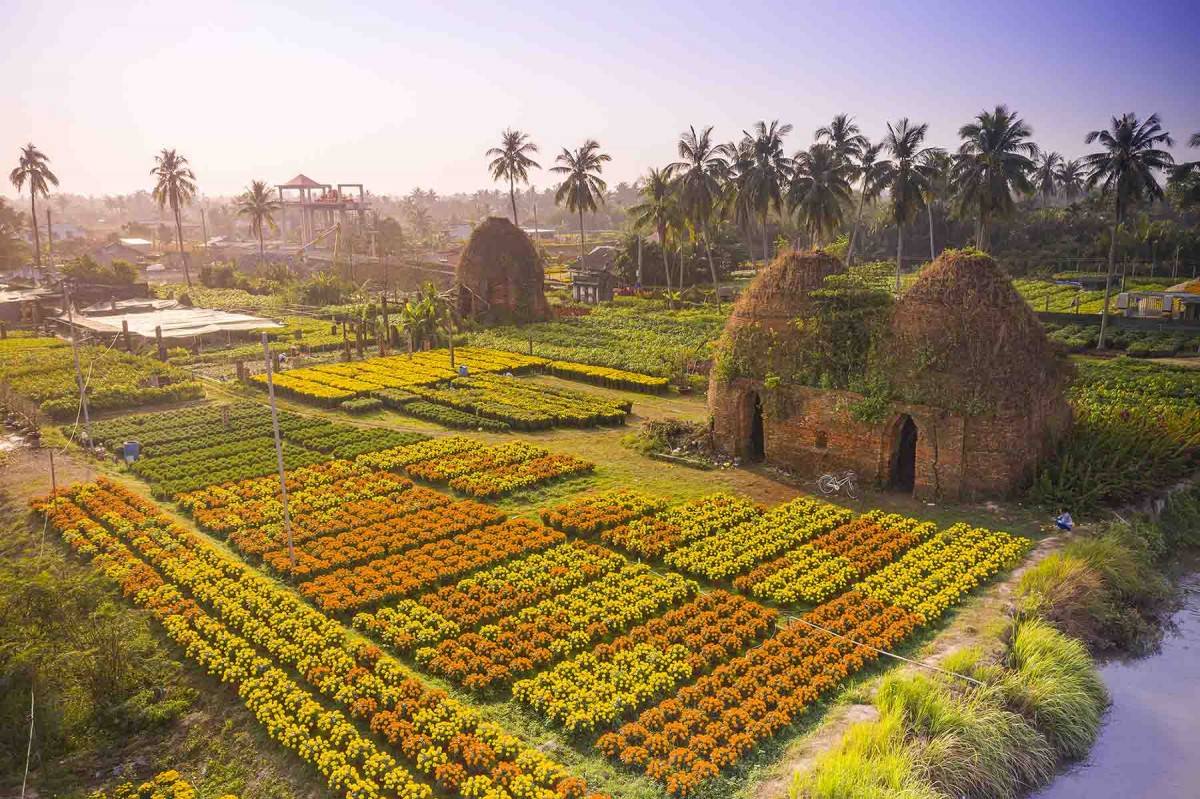 Vẻ đẹp của làng hoa kiểng Cái Mơn