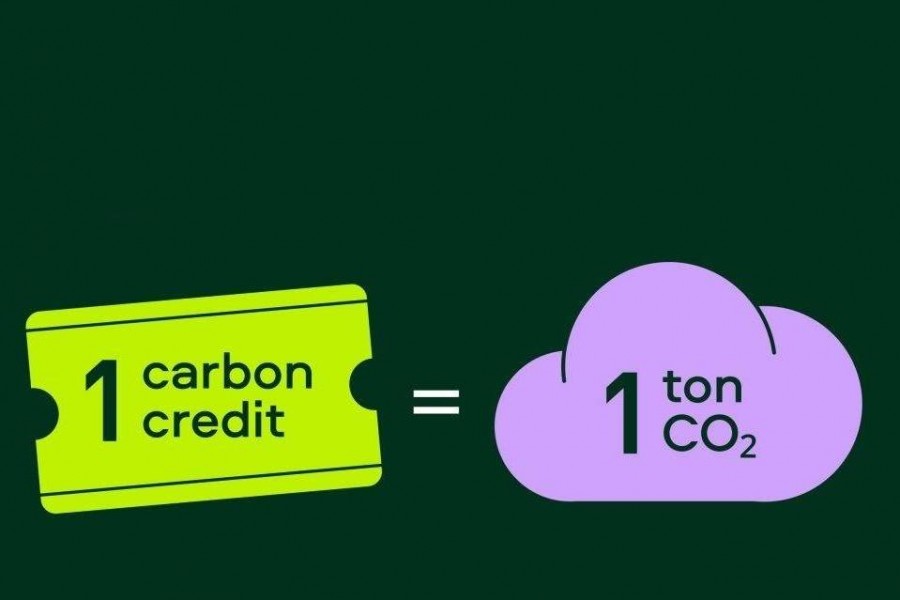Doanh nghiệp giao dịch tín chỉ carbon qua tài khoản chứng khoán, thanh toán tức thời