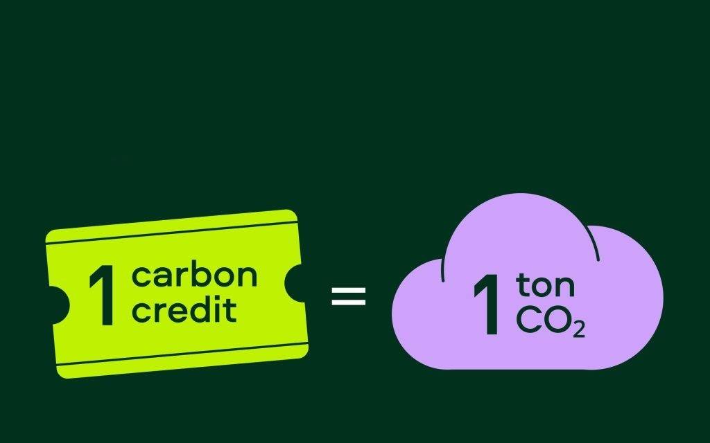 Doanh nghiệp giao dịch tín chỉ carbon qua tài khoản chứng khoán, thanh toán tức thời