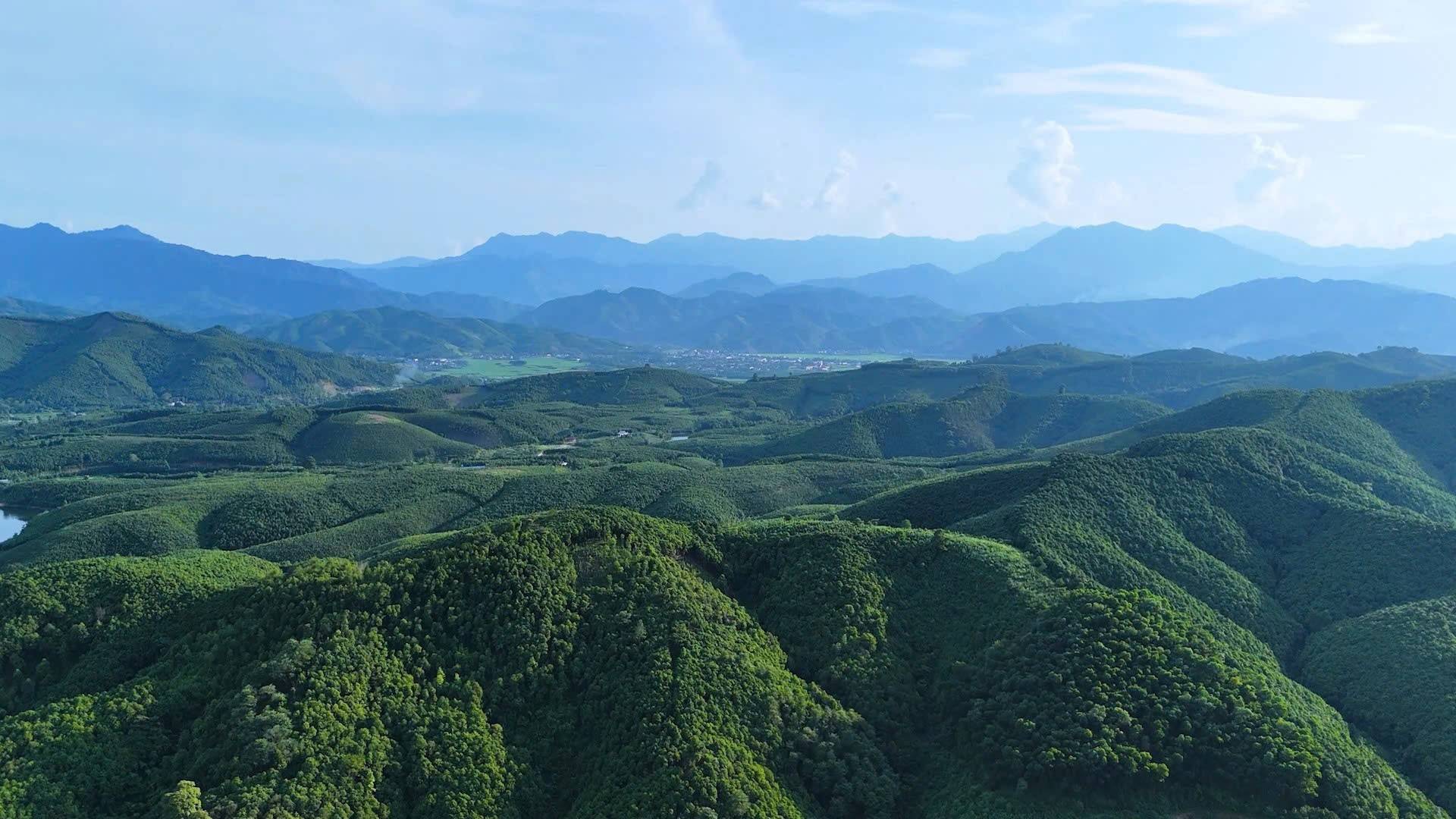 Hội Quế, Hồi tỉnh Lào Cai – “đầu mối” thúc đẩy doanh nghiệp hội nhập chuỗi giá trị quế toàn cầu