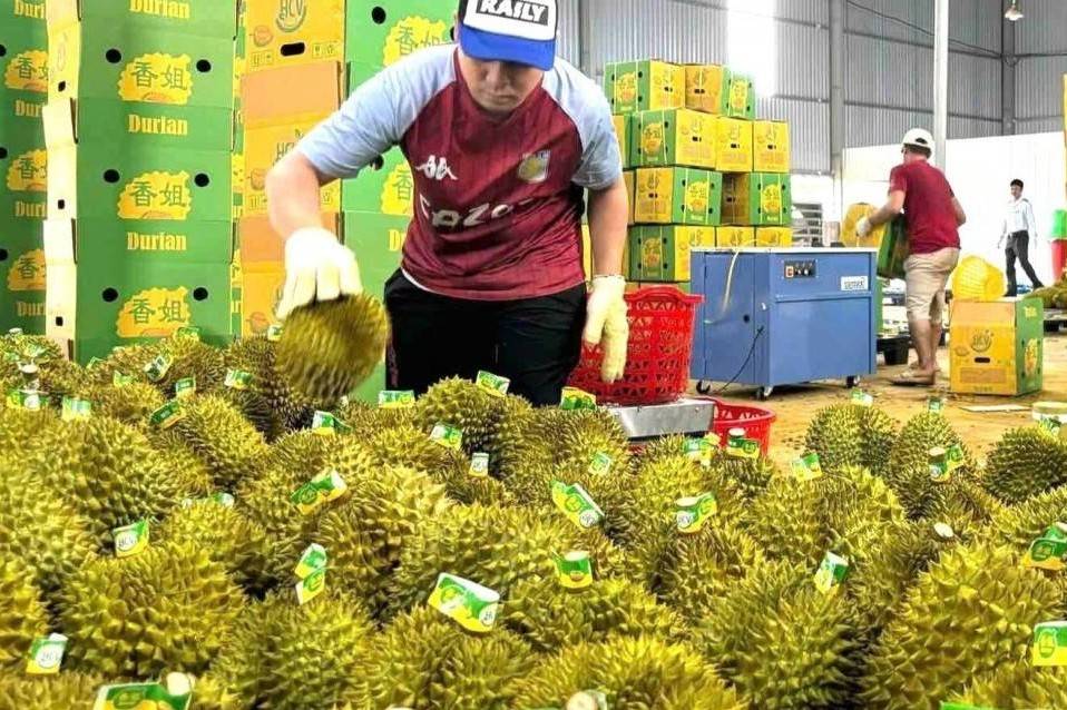 Từ truy xuất nguồn gốc đến mục tiêu 10 tỷ USD của ngành rau quả