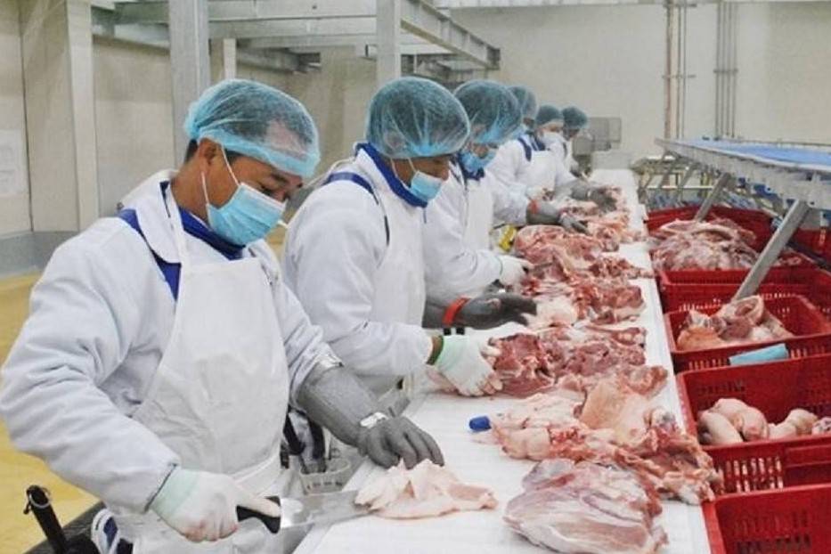 Xuất khẩu chăn nuôi vượt mốc 600 triệu USD, nhiều mặt hàng tăng trưởng mạnh