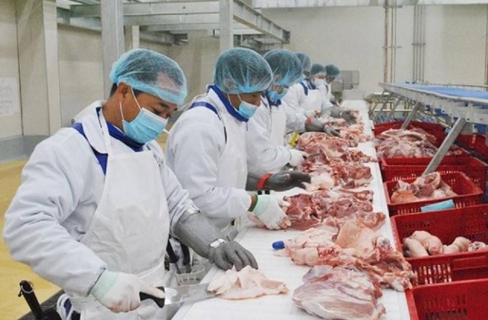 Xuất khẩu chăn nuôi vượt mốc 600 triệu USD, nhiều mặt hàng tăng trưởng mạnh