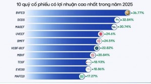 Quỹ cổ phiếu năm 2025: Tăng trưởng trong phân hóa