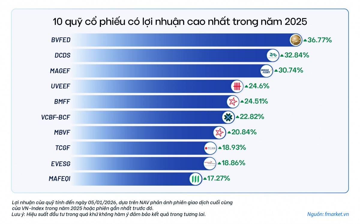 Quỹ cổ phiếu năm 2025: Tăng trưởng trong phân hóa