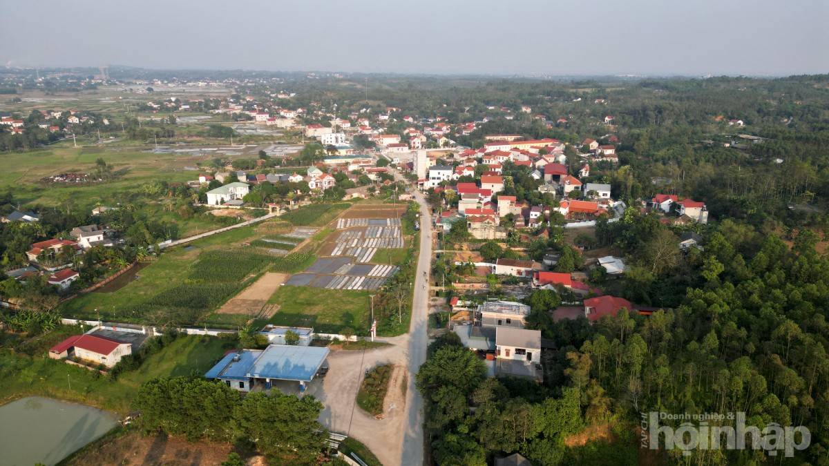 Công ty Tự Lập là nhà thầu duy nhất tham gia gói thầu ĐT.315 hơn 95 tỷ đồng