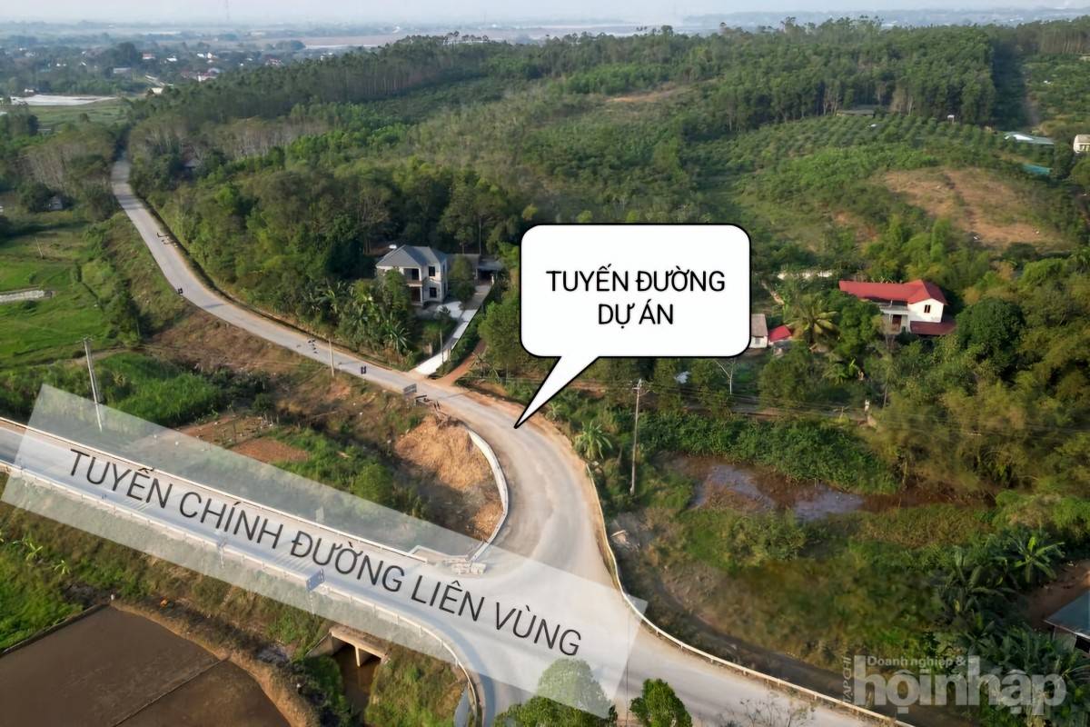 Công ty Tự Lập là nhà thầu duy nhất tham gia gói thầu ĐT.315 hơn 95 tỷ đồng