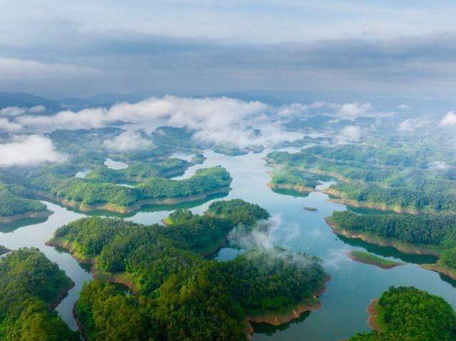 Lâm Đồng: Tâm điểm kết nối hành trình xanh từ đại ngàn đến biển cả