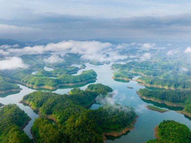 Lâm Đồng: Tâm điểm kết nối hành trình xanh từ đại ngàn đến biển cả