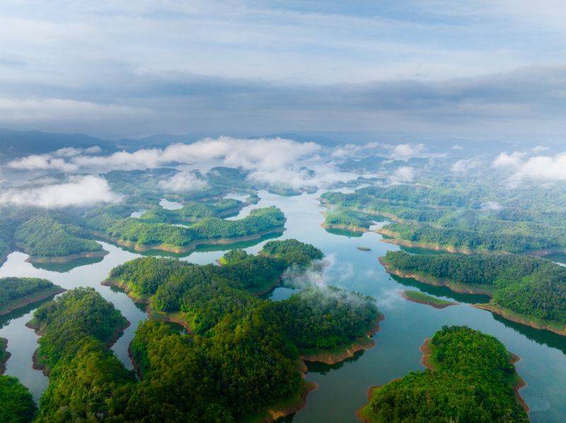 Lâm Đồng: Tâm điểm kết nối hành trình xanh từ đại ngàn đến biển cả