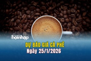Dự báo giá cà phê 25/1: Cà phê trong nước và thế giới duy trì xu hướng giảm