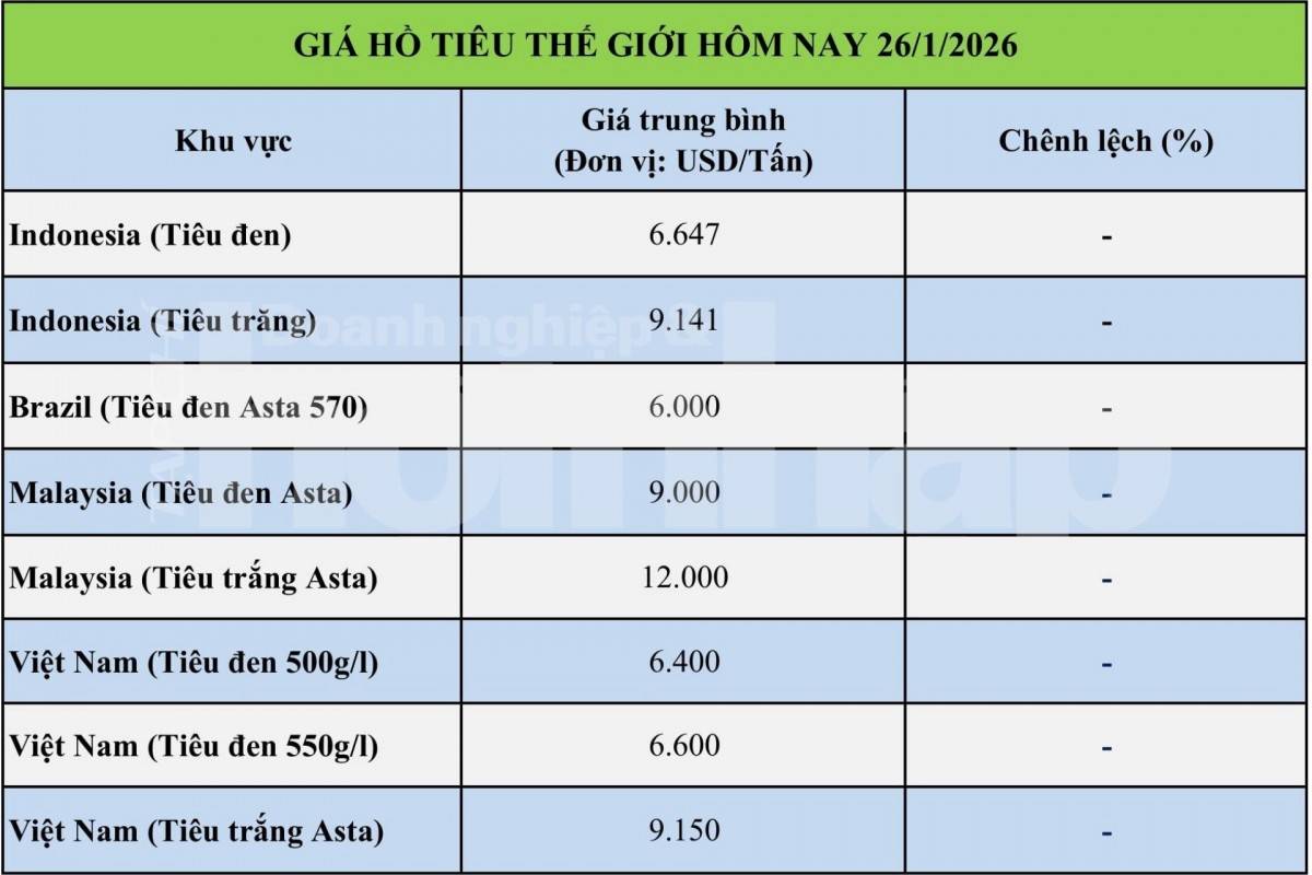Giá tiêu hôm nay 26/1/2026: