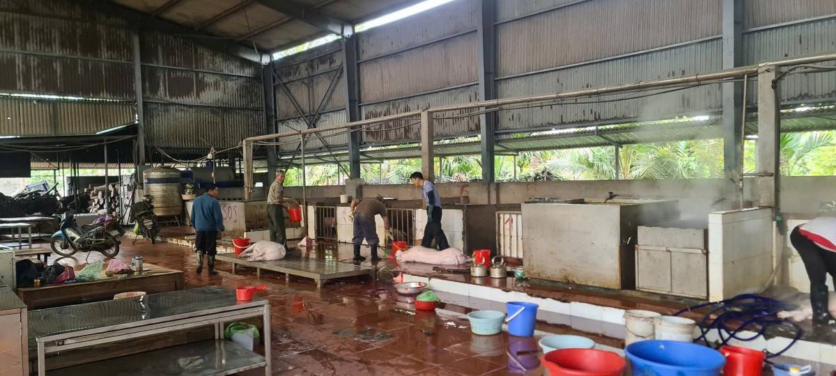 Hoạt động giết mổ tập trung góp phần bảo đảm an toàn thực phẩm và phòng, chống dịch bệnh.