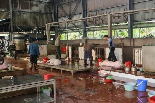 Giữ trọn an toàn bữa ăn ngày Tết từ những “điểm gốc” thầm lặng