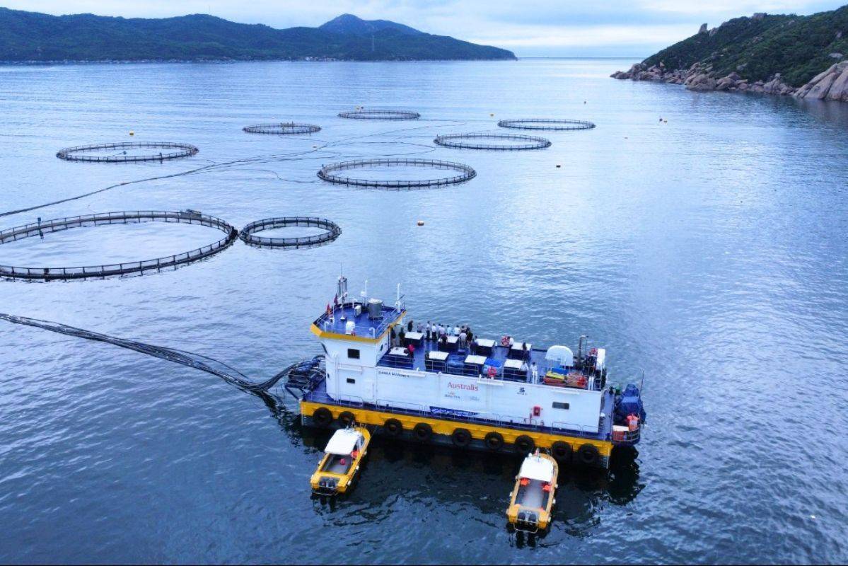 Biến đổi khí hậu đe dọa nguồn thức ăn, nuôi trồng thủy sản toàn cầu có nguy cơ sụt giảm mạnh