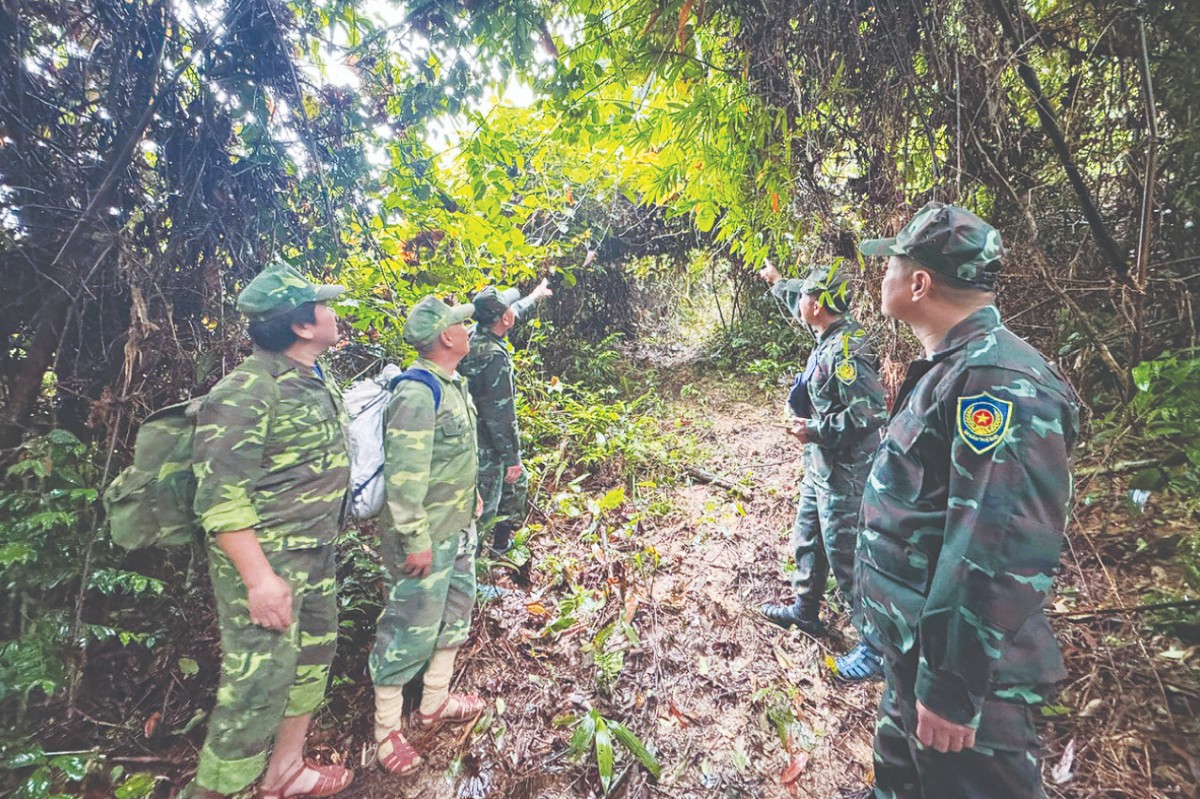 Quảng Trị: Đổi mới quản lý, phát huy giá trị Di sản Phong Nha – Kẻ Bàng