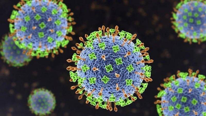Bệnh do virus Nipah chưa có vắc xin và thuốc điều trị đặc hiệu cho cả người và động vật