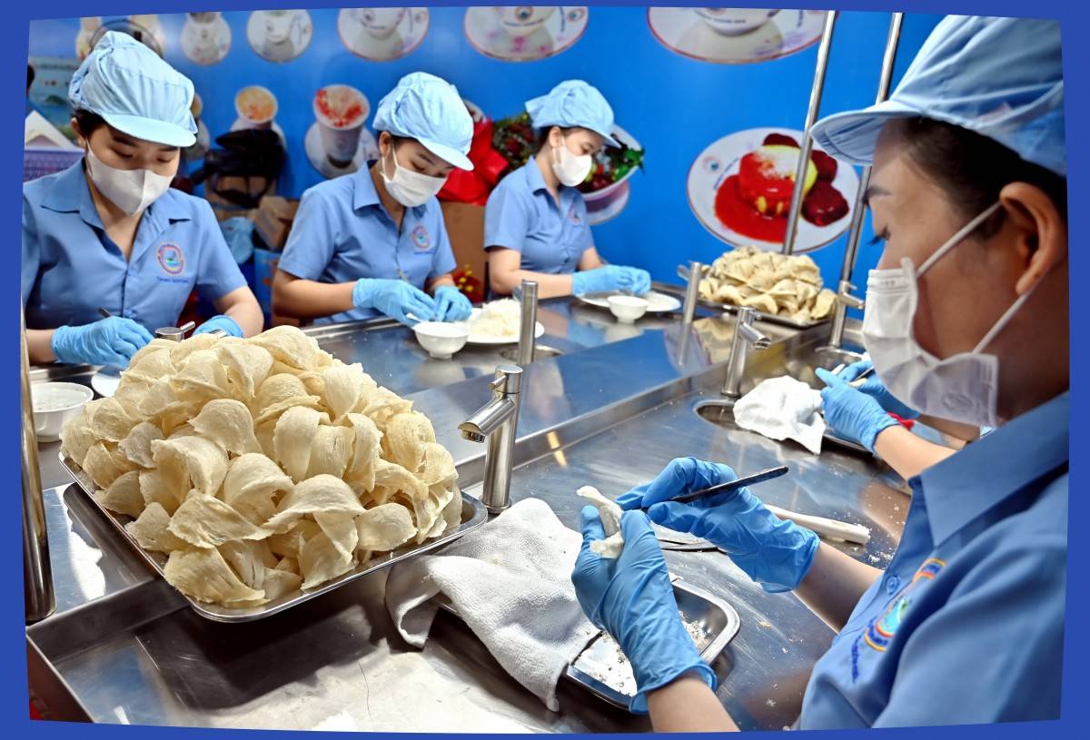 Yến sào Khánh Hòa đón đoàn WIPO, JPO: Thúc đẩy hợp tác quốc tế về sở hữu trí tuệ