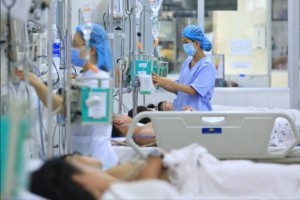 Quan ngại virus Nipah xâm nhập, Bộ Y tế ra công văn hỏa tốc