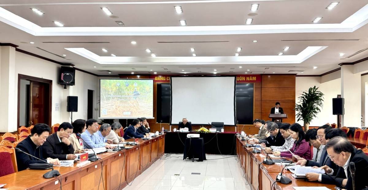 Từ cây xóa đói đến ngành tỷ USD: Vì sao sắn Việt Nam chưa phát triển bền vững?