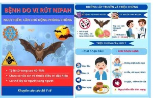 Hải Phòng siết chặt phòng, chống dịch virus Nipah từ cửa khẩu đến cộng đồng