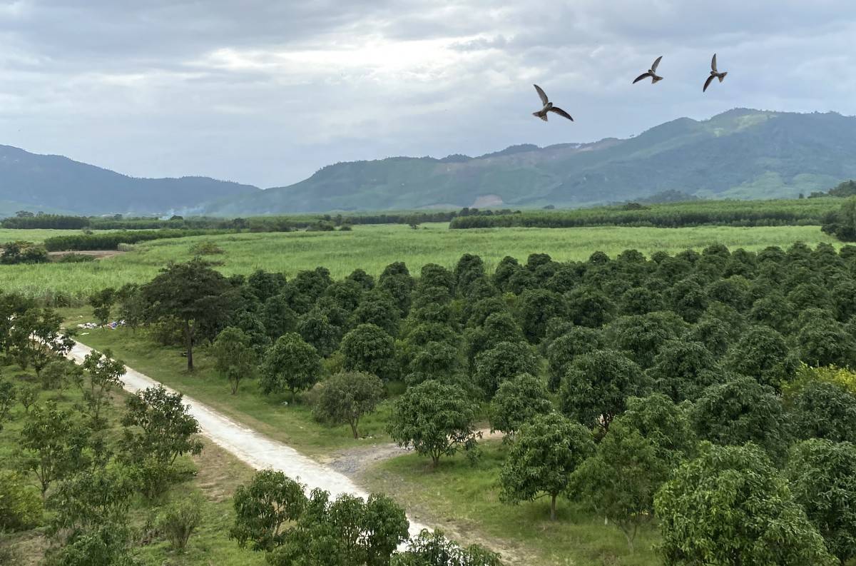 Sản Việt Farm: Khó và dễ khi đưa văn hóa bản địa vào du lịch xanh, tuần hoàn của gã nhiếp ảnh gia