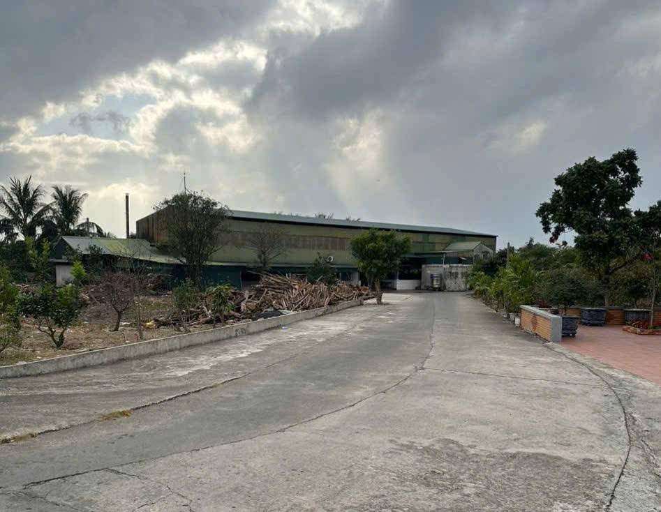 Giữ trọn an toàn bữa ăn ngày Tết từ những “điểm gốc” thầm lặng