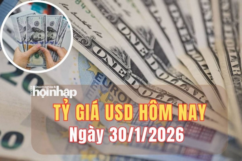 tỷ giá usd