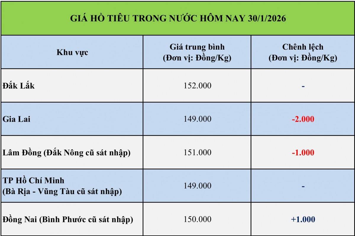 Giá tiêu hôm nay 30/1/2026: