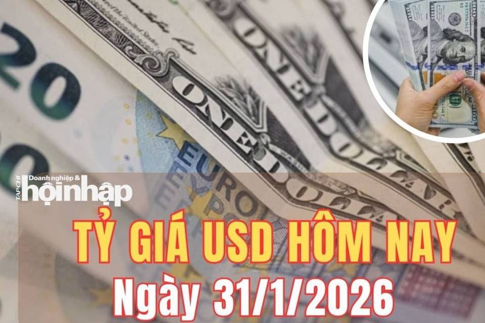 Tỷ giá USD hôm nay 31/1/2026: Đồng USD bật tăng trên thị trường quốc tế