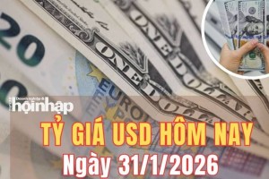 Tỷ giá USD hôm nay 31/1/2026: Đồng USD bật tăng trên thị trường quốc tế